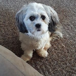 Meet your Posher, Barbara